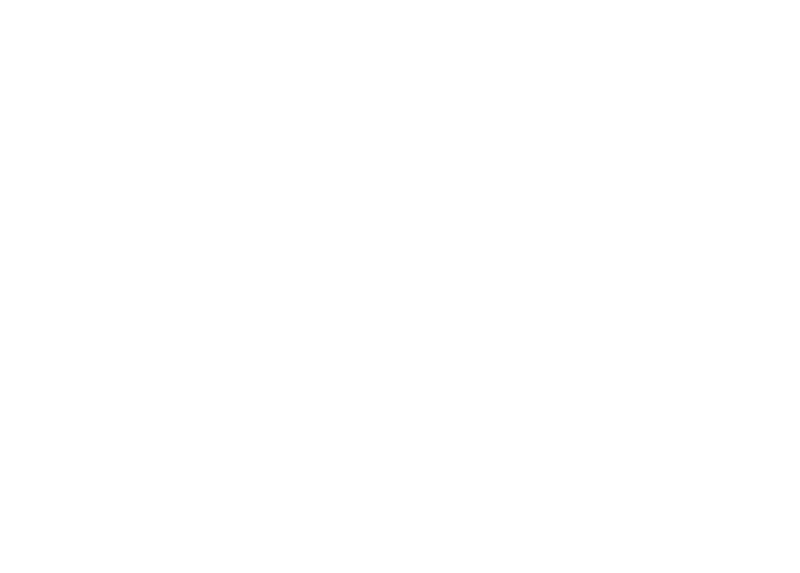LEPlight